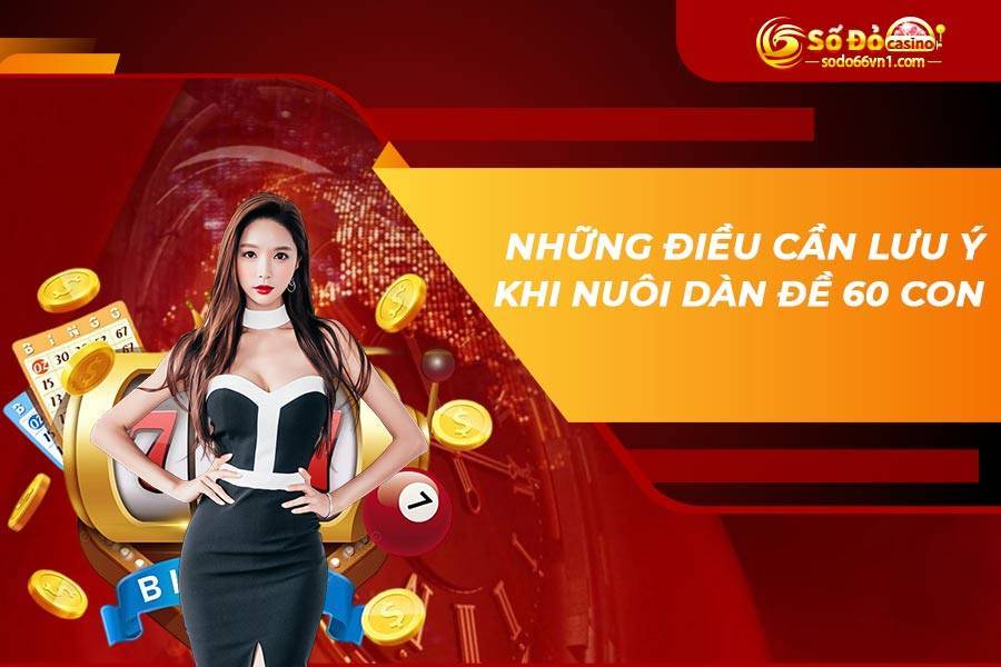 Bật mí cách nuôi dàn đề 60 số đánh hàng ngày đánh bất tử 3 dan-de-60-so-danh-hang-ngay-2