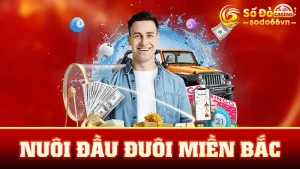 Nuôi Đầu Đuôi Miền Bắc