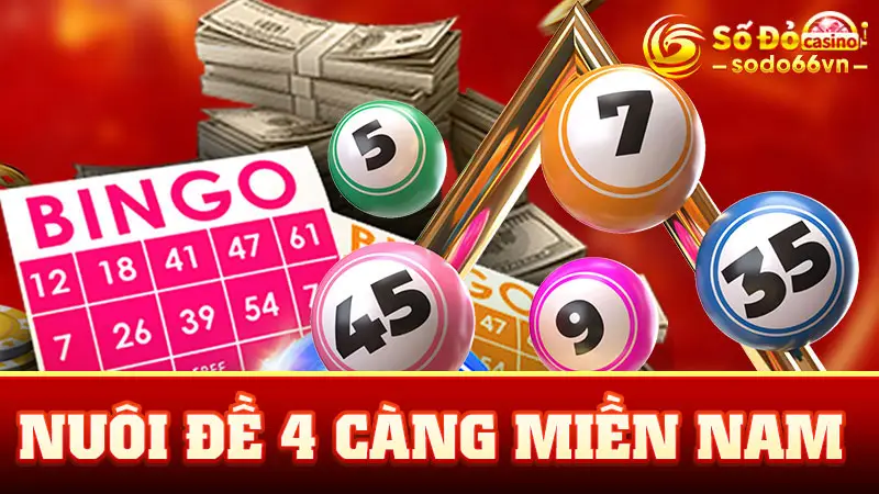 Phương Pháp Nuôi Đề 4 Càng Miền Nam Cực Hay Tại SODO66 1 nuôi đề 4 càng miền Nam